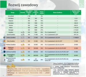 Plan-marketingowy-TianDe-Kołobrzeg-300x269 Poradnik współpraca cz2
