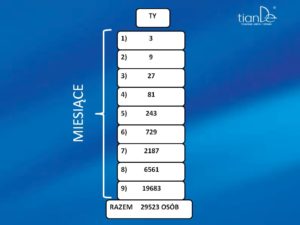 System-binarny-Tiande-Kołobrzeg-300x225 Poradnik współpraca cz2