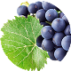 Winogrono Zdrowie Mężczyzn